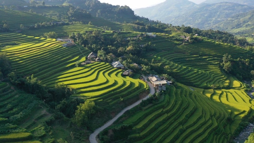 Rice terraces in Ha Giang
